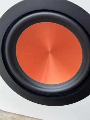 woofer-zoomed-in.jpg woofer-zoomed-in.jpg