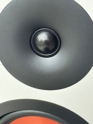 tweeter-zoomed-in.jpg