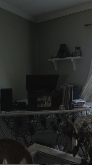 record setup.PNG