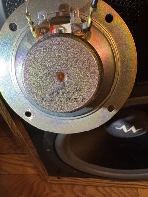 IMG_5595.JPG IMG_5595.JPG