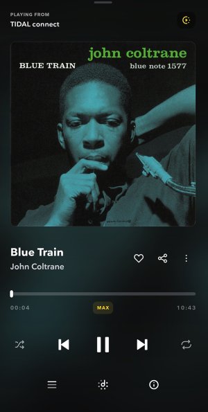 picture10 in tidal.jpg