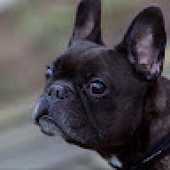 laeppsche